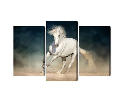 Ljuddämpande tavla - A white horse at a gallop