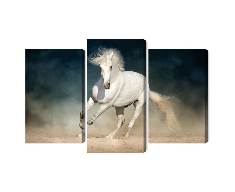 Ljuddämpande tavla - A white horse at a gallop