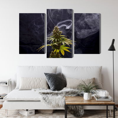Ljuddämpande tavla - Cannabis plant on a smoky