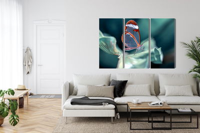 Ljuddämpande tavla - Glass-winged butterfly close