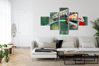 Ljuddämpande tavla - A caterpillar and a ladybug