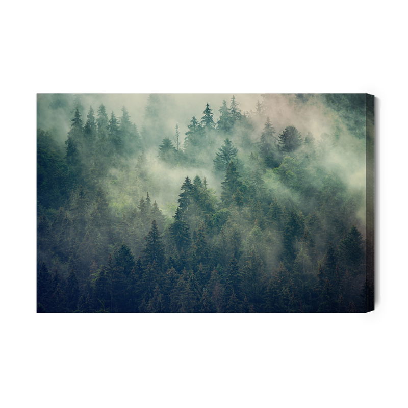 Ljuddämpande tavla - Misty landscape with fir