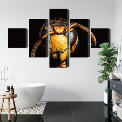 Ljuddämpande tavla - Hornet on a macro scale