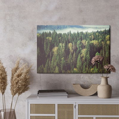 Ljuddämpande tavla - Forest with fog