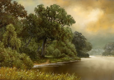 Ljuddämpande tavla - Forest landscape with a river