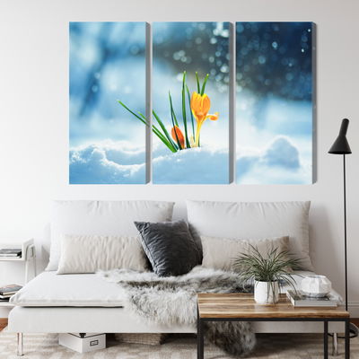 Ljuddämpande tavla - Yellow crocuses breaking