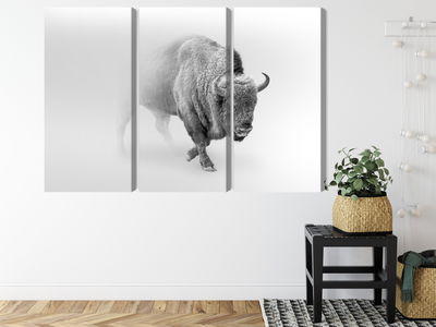 Ljuddämpande tavla - Bison in the fog 3d