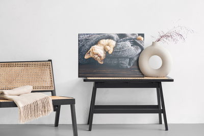 Ljuddämpande tavla - Sleeping ginger kitten