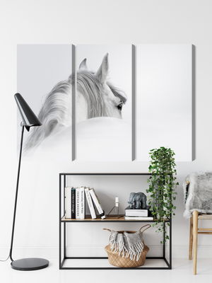 Ljuddämpande tavla - Andalusian horse in the fog