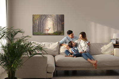 Ljuddämpande tavla - A deer in the middle