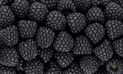 Ljuddämpande tavla - Blackberries on a macro scale