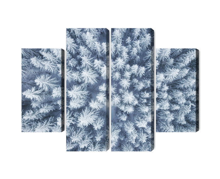 Ljuddämpande tavla - Aerial view of the winter