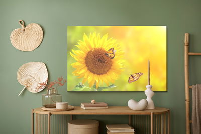 Ljuddämpande tavla - Sunflower with butterflies