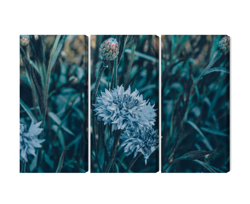 Ljuddämpande tavla - Cornflowers in the meadow 3d