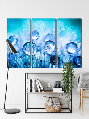 Ljuddämpande tavla - Dew drops on dandelion seeds