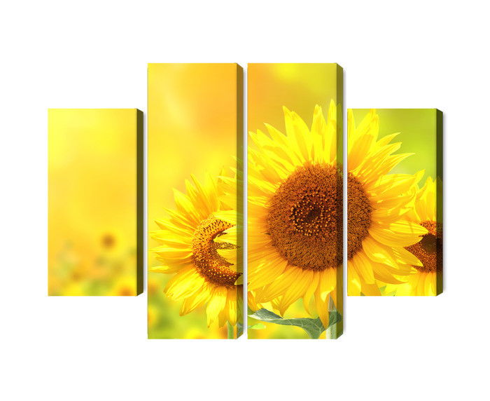 Ljuddämpande tavla - Blooming sunflowers 3d