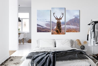 Ljuddämpande tavla - A deer on a background