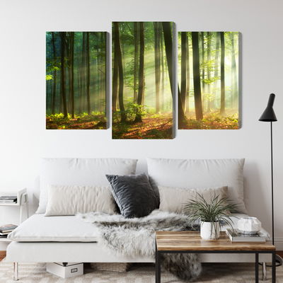 Ljuddämpande tavla - The rays of the sun