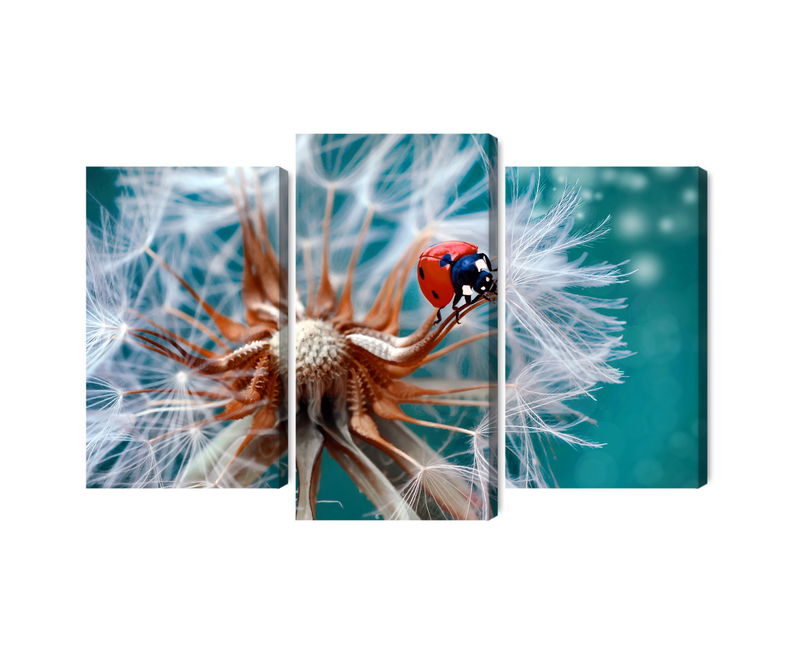 Ljuddämpande tavla - Ladybug on a dandelion