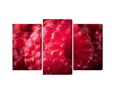 Ljuddämpande tavla - Raspberries on a macro scale