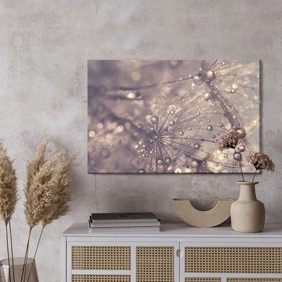 Ljuddämpande tavla - Dandelion, water drops