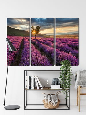 Ljuddämpande tavla - Lavender field at sunset 3d