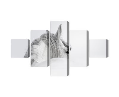 Ljuddämpande tavla - Andalusian horse in the fog