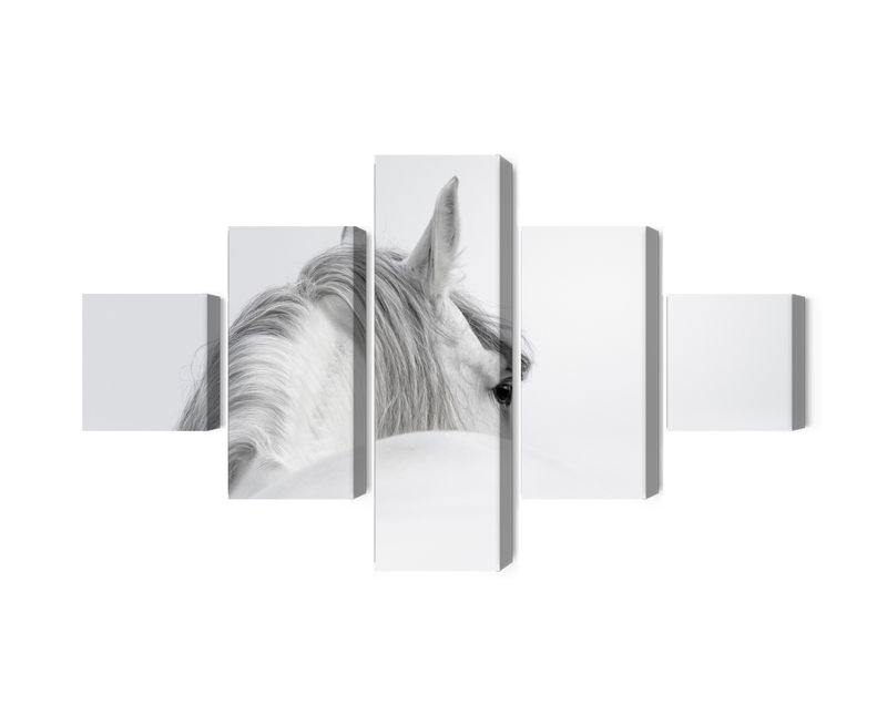 Ljuddämpande tavla - Andalusian horse in the fog