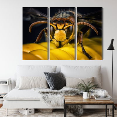 Ljuddämpande tavla - Wasp on a macro scale