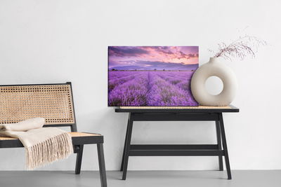 Ljuddämpande tavla - Beautiful lavender landscape