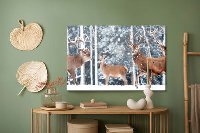Ljuddämpande tavla - A herd of deer in the winter