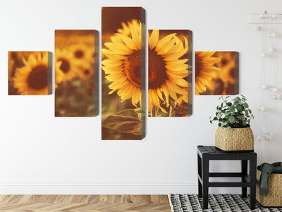 Ljuddämpande tavla - A field of sunflowers