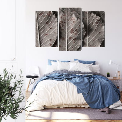 Ljuddämpande tavla - Gray leaves on a macro scale