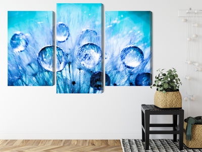 Ljuddämpande tavla - Dew drops on dandelion seeds