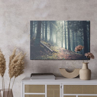 Ljuddämpande tavla - Trail in a dark pine forest