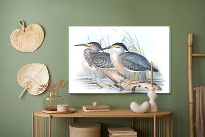 Ljuddämpande tavla - Birds over the water