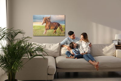 Ljuddämpande tavla - Galloping horse