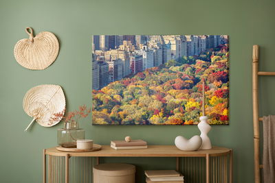 Ljuddämpande tavla - Central park aerial view