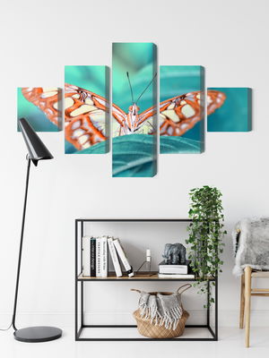 Ljuddämpande tavla - Butterfly on a leaf in macro