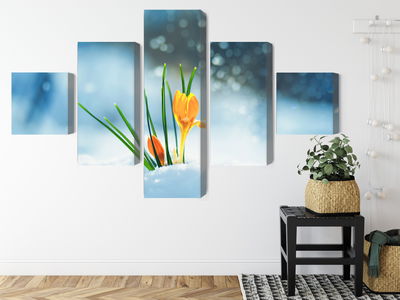 Ljuddämpande tavla - Yellow crocuses breaking