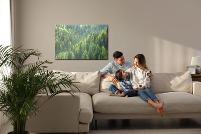 Ljuddämpande tavla - Green coniferous forest