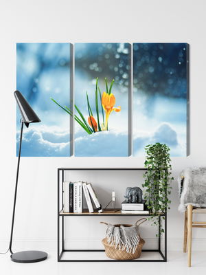 Ljuddämpande tavla - Yellow crocuses breaking