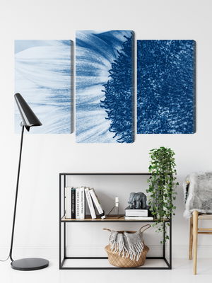 Ljuddämpande tavla - Blue sunflower on a macro