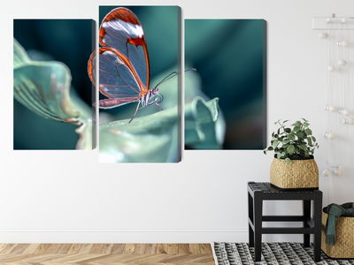 Ljuddämpande tavla - Glass-winged butterfly close