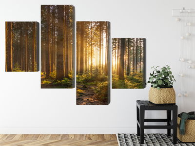 Ljuddämpande tavla - Sunset in the forest