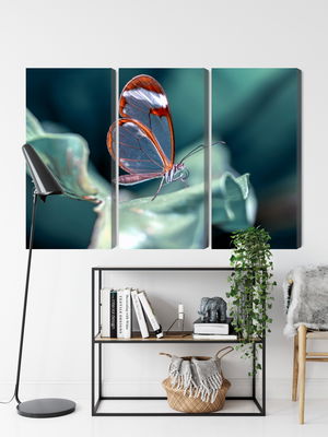 Ljuddämpande tavla - Glass-winged butterfly close
