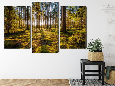Ljuddämpande tavla - 3d sunny forest landscape