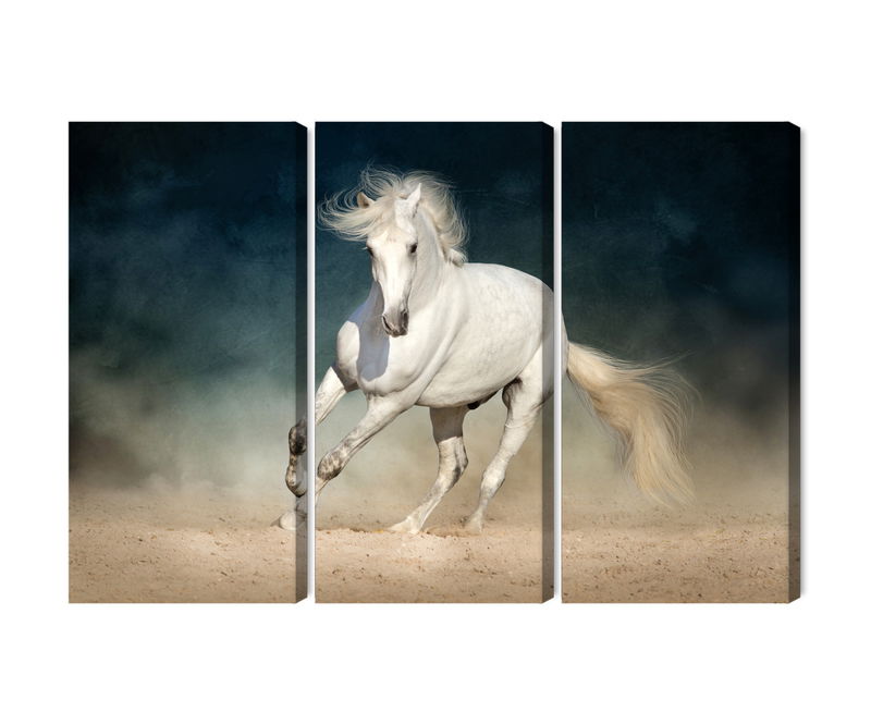 Ljuddämpande tavla - A white horse at a gallop