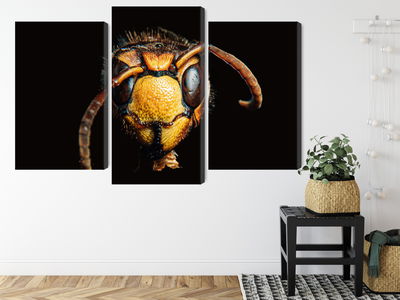 Ljuddämpande tavla - Hornet on a macro scale