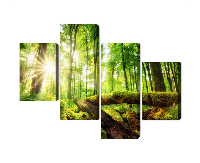 Ljuddämpande tavla - Sunrays in a forest 3d